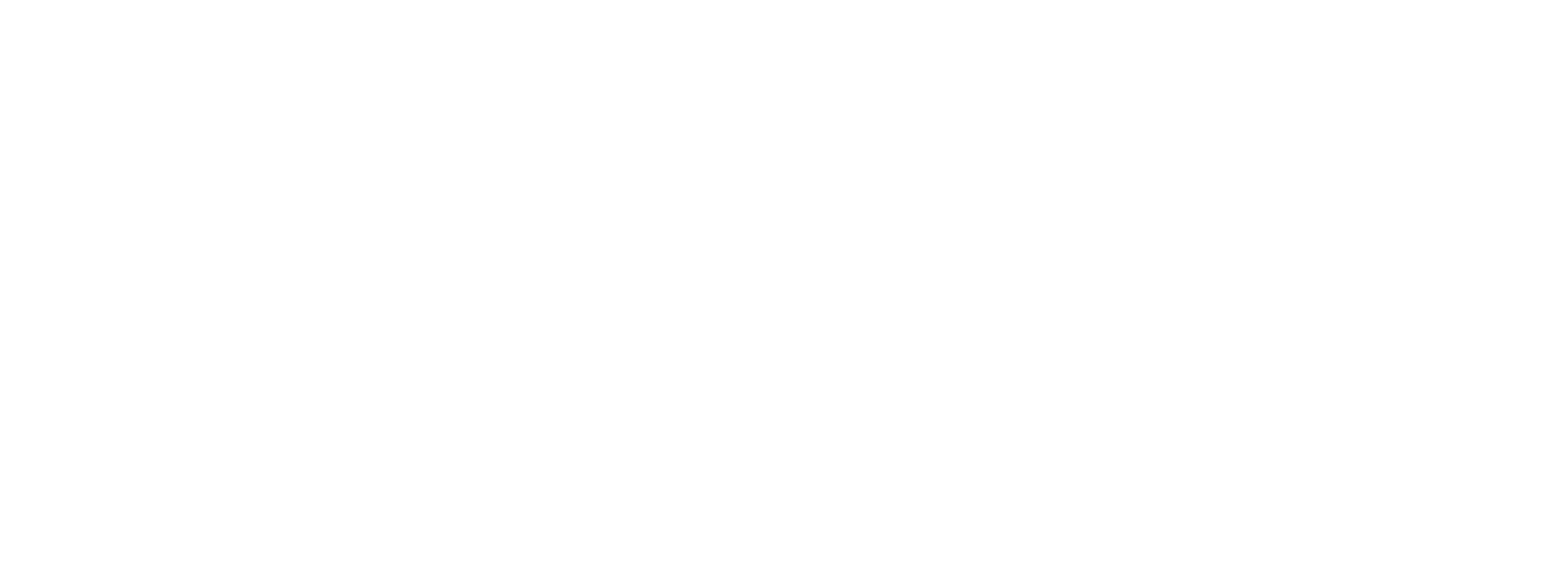 Venequip logo